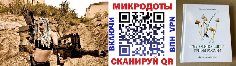 магазин    Бийск  Галлюциногенные грибы Psilocybe 